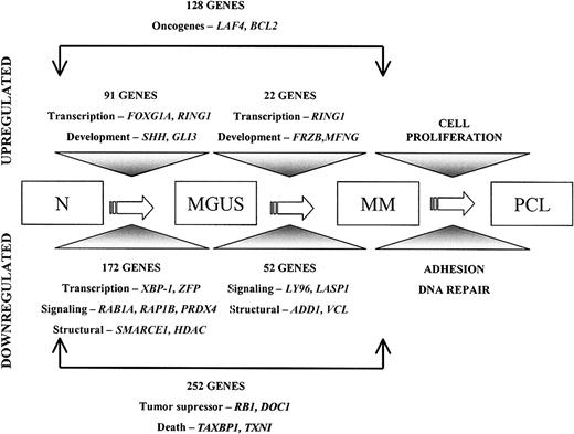 Figure 4. A diagrammatic representation of the multistep pathogenesis of MM. This transcriptomic model shows genes differentially expressed between plasma cells from healthy donors and individuals with MGUS or MM.