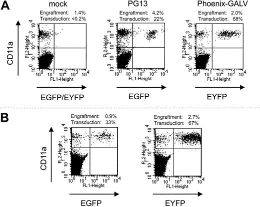 Figure 2. Engraftment of transduced baboon marrow cells in NOD/SCID mice. Displayed are examples from the 3 groups of mice that underwent autologous transplantation in parallel with baboons. (Left) mock-transduced cells; (middle) PG13; (right) Phoenix-GALV-transduced cells. (B) Engraftment with baboon SCRs is stable over 12 weeks. Two mice were observed for 12 weeks before bone marrow was harvested and analyzed. Neither the percentage of engrafted baboon cells nor transgene expression is markedly different than at 6 weeks after transplantation.