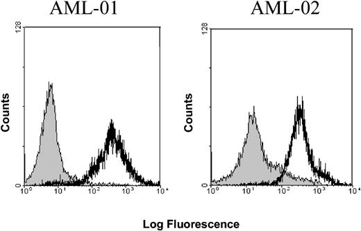 Figure 1. OFA-iLRP expression in human acute myeloid leukemias. FACS analysis of OFA-iLRP expression on AML blasts obtained from 2 different patients with AML. AML-01: OFA-iLRP expression (black) versus isotype control (gray). P < .001. AML-02: OFA-iLRP (black) versus isotype control (gray). P < .005.