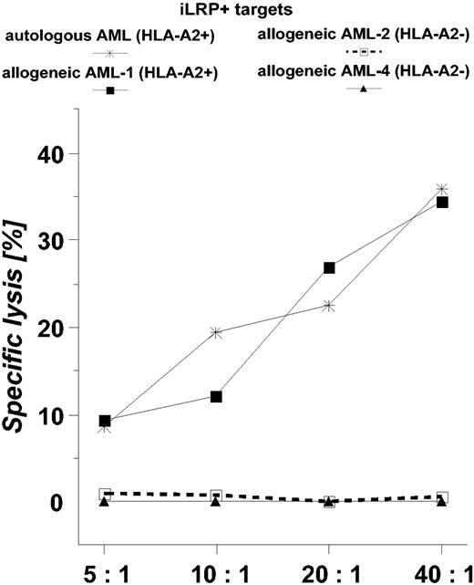 Figure 5. Killing activity of OFA-iLRP-specific CTLs obtained from a patient with AML. Autologous and allogeneic (AML-1, AML-2, AML-4) OFA-iLRP+ AML blasts were used as targets in a 4-hour 51Chromium release assay.