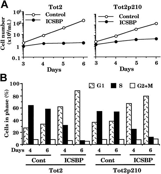 Figure 3. Cell growth arrest by ICSBP in Bcr/Abl-transformed ICSBP-/- myeloid progenitor cells. (A) Growth rate of Tot2 and Tot2p210 cells transduced with the indicated viruses. Total cell yields are counted on the indicated days. (B) Cell cycle analysis. Cells transduced with control or ICSBP retrovirus were analyzed for DNA contents on the indicated days.