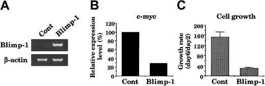 Figure 8. Repression of c-Myc and growth inhibition by Blimp-1. (A) Semiquantitative RT-PCR for ectopic Blimp-1. Tot2p210 cells were transduced with control MSCV-CD8t or MSCV-Blimp-1-CD8t. Transduced cells were purified by immunomagnetic cell sorting using anti-CD8 antibody on day 2. (B) c-Myc transcript level quantified by real-time RT-PCR. (C) Cell growth rate (fold increase in cell number) during day 2 to day 6. Data represent mean ± SD in triplicate.