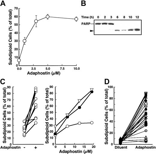 Figure 1. Cells lacking Bcr/abl are susceptible to adaphostin-induced apoptosis. (A) ML-1 cells were treated with the indicated concentration of adaphostin or diluent for 8 hours, fixed, stained with PI, and examined for subdiploid cells by flow microfluorimetry. Error bars, ± 1 SD from 4 independent experiments. (B) ML-1 cells were treated with 3 μM adaphostin for the indicated times. Whole-cell lysates were subjected to immunoblotting with C-2-10 antibody, which detects full-length PARP as well as its caspase-generated 89-kDa fragment (arrow head).29 (C) Mononuclear cells isolated from bone marrows of 10 patients with newly diagnosed AML were treated with diluent (-) or 20 μM adaphostin (+) for 48 hours (left panel). Right panel indicates dose-response curve in mononuclear cells from 3 representative AML patients. (D) Lymphocytes isolated from the peripheral blood of patients with CLL were incubated in the presence of diluent or 10 μM adaphostin for 24 hours, stained with PI, and examined for subdiploid DNA content by flow microfluorimetry.