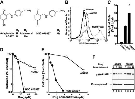 Figure 6. Differential effects of AG957 and its quinone derivative NSC 676537. (A) Structures of adaphostin, the parent compound AG957, and NSC 676537, which is a quinone derivative of AG957. (B) K562 cells were treated with diluent, 30 μM AG957, or 30 μM NSC 676537 for 1.5 hours, then stained with CM-H2DCFDA and examined by flow microfluorimetry to estimate peroxide levels. (C) K562 cells were treated for 24 hours with diluent, 30 μM AG957, or 30 μM NSC 676537; stained with PI; and examined by flow microfluorimetry for subdiploid cells. Error bars are mean ± SD of 3 experiments. *P < .05 relative to AG957. (D) K562 cells were incubated for 24 hours in the presence of the indicated agent, washed, and plated in 3% agar to determine clonogenic survival. (E) Peripheral blood mononuclear cells from a patient with CML were incubated with the indicated agent for 24 hours, washed, and assayed for granulocyte colonies as previously described.19 Similar results were obtained using cells from 2 additional patients with CML. (F) K562 cells were incubated in the presence of the indicated agent for 8 hours. Whole-cell lysates were probed with antibodies to c-abl or, as a loading control, procaspase-2.