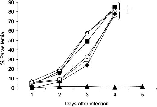 Figure 6. Course of P yoelii YM parasite infection in mice. Groups of 5 BALB/c mice injected with mouse IgG2b anti-MSP119 (▴), human IgG1anti-MSP119 (□), human IgA1 anti-MSP119 (○), human IgG1anti-NIP (▪), human IgA1 anti-NIP (•), FcγRI × MSP119 diabody (♦), and PBS ▵. Each point represents the geometric mean parasitemia of mice in each group at the time after parasite challenge. All mice in the mouse IgG2b group survived for 6 months; all the mice in the other groups with high parasitemia were killed on either day 4 or day 5.