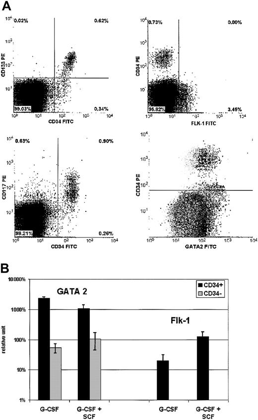 Figure 1. Endothelial cell mobilization. Cell markers of endothelial lineage were tested on PB MNCs of 4 baboons mobilized with G-CSF + SCF. Analysis could not be performed in animals not administered with cytokines, given the too-low number of CD34+ cells in the circulation. Comparison was performed with mobilized MNCs from 6 healthy human donors administered with G-CSF alone. (A) Flow cytometric analysis: 4 biparametric dot plots show double-labeling with anti-CD133-PE MoAb and anti-CD34-FITC MoAb (top left), anti-CD117-PE MoAb and anti-CD34-FITC MoAb (bottom left), anti-CD34-PE MoAb and anti-FLK-1-FITC mAb (top right), anti-CD34-PE MoAb and anti-GATA2-FITC MoAb (bottom right), respectively. Bottom right dot plot displays overlapping negative control (gray dots, performed with anti-CD34-PE MoAb and nonspecific mouse MoAb) and positive test (black dots). The 3 other dot plots show positive tests. Results are representative of both baboon and human mobilized cell samples (except CD133/CD34 labeling, which can only be evaluated with human cells). (B) RT-PCR analysis: Analyzed samples are issued from baboons and healthy donors as indicated earlier in the legend for flow cytometric analysis. mRNA expression levels of GATA-2 and Flk-1 were analyzed by reverse transcription and real-time PCR. Transcription factors' mRNA levels, normalized against cyclophylin-A mRNA, are expressed as percentages of averaged mRNA levels of mobilized CD34- cells (error bars indicate standard deviation). Flk-1 mRNA was tested in CD34+ cells and was detectable only at a low level, 50 to 100 times weaker than in HUVEC control cells.