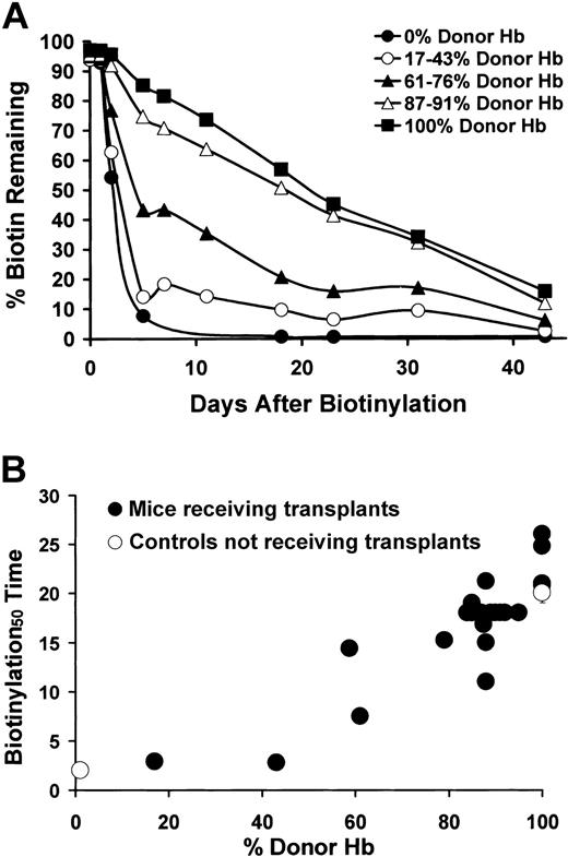 Figure 5. Effect of increasing RBC chimerism on the decay kinetics of biotinylated peripheral RBCs. (A) Biotinylation curves for representative mice that received transplants and control mice. y-axis = percentage of biotinylated RBCs remaining. x-axis = time (days) after biotinylation. Average survival curves for mice with 0% (sickle mice that did not receive transplants, •), 17% to 43% (▴), 61% to 76% (▴), 87% to 91% (▵), and 100% RBC chimerism (▪) are shown. (B) The relationship between the time at which 50% of the biotinylation signal had disappeared (biotinylation50 time, y-axis) and the percentage of donor Hb in the peripheral blood (x-axis) is shown for sickle (0% donor Hb) and eGFP (100% donor Hb) controls (▴) and for the mice that received transplants (•).