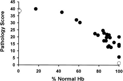 Figure 8. Total pathology score showed progressive correction of sickle pathology. Total pathologic score (y-axis) versus percentage of normal Hb levels in the peripheral blood (x-axis). The total pathology score includes the following individual parameters: (1) cardiac vascular ectasia, (2) pulmonary artery medial thickness, (3) pulmonary vascular ectasia, (4) remote hepatic infarct, (5) recent hepatic infarct, (6) hepatocyte iron deposition, (7) hepatic Kupffer cell iron deposition, (8) renal glomerular hypertrophy, (9) renal mesangial hypercellularity, (10) renal tubular iron deposition, (11) splenic loss of architectural integrity and vascular congestion, and (12) evidence of ongoing multiorgan injury. This evidence includes primarily small-vessel changes (ectasia, perivascular fibrosis, and congestion), parenchymal chronic ischemic changes, pericentral vein sclerosis and hepatocytic ischemic changes in the liver, and evidence of ongoing hemolysis (especially in the liver and kidneys). Each of these parameters received a pathology score from 0 to 4 (Table 1). The summed scores were plotted against the percentage of donor Hb.