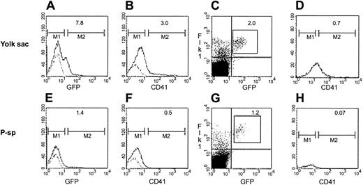 Figure 2. CD41 and Flk1 are expressed in Tie2-GFP+ cells in the 9.5-dpc yolk sac and P-Sp. Flow cytometric histograms depicting Tie2-GFP+ cells from 9.5-dpc yolk sac (A) and P-Sp (E) tissues isolated from transgenic mice. Autofluorescence of the cells is illustrated by the faint line; GFP expression is indicated by the bold line. The percentage of GFP-expressing cells (of the total for each tissue) is indicated in the upper right corner of the histogram for each population (A,E). CD41 expression in yolk sac (B) and P-Sp cells (F) is illustrated by the bold histograms, whereas isotype-binding control cells are indicated by the faint line. Dot plots of cells coexpressing Tie2-GFP+ and Flk1 in 9.5-dpc yolk sac (C) and P-Sp (G) indicate that the percent of total cells simultaneously expressing these fluorochromes is 2% or less. Further analysis of the yolk sac (D) and P-Sp (H) cells coexpressing Tie2-GFP, Flk-1, and CD41 revealed a 10-fold greater frequency of coexpressing cells in the yolk sac-derived cells (D) compared to P-Sp cells (H). These results are representative data of 10 experiments where 30 to 40 yolk sac or P-Sp tissues were analyzed in each experiment.