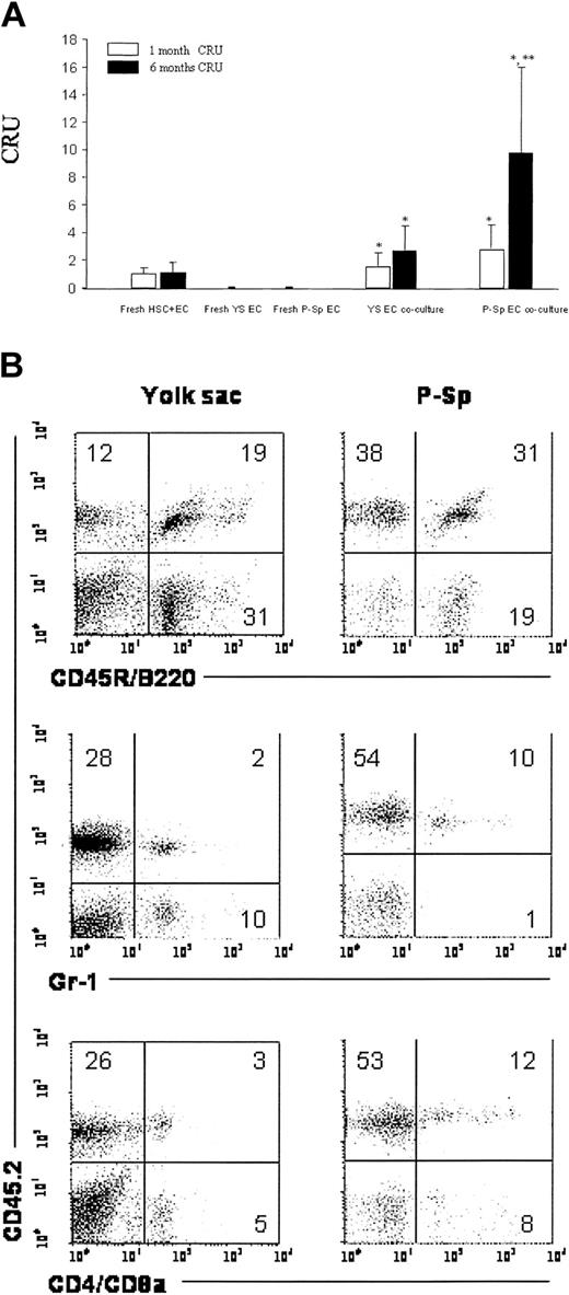 Figure 5. Comparison of BM CRU ability with multilineage reconstitution supported by 9.5-dpc yolk sac- and P-Sp-derived endothelial cell cocultures. (A) The CRU activity in peripheral blood of recipient mice 1 and 6 months after transplantation with fresh or cultured donor stem cells. Freshly isolated Tie2-GFP+Flk1+CD41-yolk sac and P-Sp endothelial cells failed to result in any donor evidence of hematopoietic cell repopulation in mice that received competitive transplants. The 9.5-dpc Tie2-GFP+Flk1+CD41-yolk sac and P-Sp endothelial cell cocultures facilitated both short-term (1 month) and long-term (6 month) donor stem cell CRUs compared with fresh control CRUs (*P < .05). The P-Sp endothelial cell coculture conditions markedly increased CRU activity of the donor stem cells as evidenced in the peripheral blood chimerism of recipient mice at 6 months after transplantation compared with donor stem cell Sca-1+c-Kit+lin-cell CRUs harvested from yolk sac endothelial coculture conditions (**P < .05). Data are presented as the mean ± SD of 6 animals at each time point in each group. Representative peripheral blood analysis (B) of reconstitution of recipient mice receiving transplants with Sca-1+c-Kit+lin-cells following 7 days of coculture with Tie2-GFP+Flk1+CD41-yolk sac or P-Sp endothelial cells performed 6 months after the donor cell transplantation. Percent donor type CD45.2-expressing cells (y-axis) in recipient mice given transplants of 9.5-dpc Tie2-GFP+Flk1+CD41-yolk sac endothelial cell/Sca-1+c-Kit+lin-cocultures or 9.5-dpc P-Sp Tie2-GFP+Flk1+CD41-endothelial cell/Sca-1+c-Kit+lin-cocultures are depicted with B lymphocyte (CD45R/B220), granulocyte (Gr-1), and T-lymphocyte markers (CD4 and CD8) depicted on the x-axis.