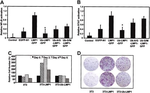 Figure 3. Effect of covalent linkage of ubiquitin. Covalent linkage of ubiquitin blocks LMP1-mediated cellular signaling pathways. (A) (B) Summary of the relative NF-κB (A) and STAT (B) activity induced by either pEGFP-N1, LMP1-GFP, Ub-LMP1-GFP Ub-Ala/Gly-LMP1-GFP, or Ub-Gly/Met-LMP1-GFP as determined by quantitation of luciferase activity produced from a cotransfected reporter plasmid. The data were normalized for transfection efficiency by measuring GFP+ cells and then expressed relative to the activity obtained with the B95.8 LMP1 gene (100%) without subtracting the basal activity in control pEGFP-N1-transfected cells. Results are the mean standard deviation of at least 4 separate experiments; * denotes that values obtained for Ub-LMP1-GFP are statistically significant (P < .05) when compared with LMP1-GFP. (C) Kinetics of cell survival in control and LMP1-GFP transfectants of HaCaT cells. The percentage of cell viability was determined by trypan blue staining every second day for up to 6 days of culture in medium containing 1% FCS. Cell number is expressed as cells × 103/mL and is shown as the percentage of cell growth with counts at day 0 being considered 100%. (D) Clonogenic assay for cell growth. Cells (103) from control, LMP1-GFP-, and Ub-LMP1-GFP-expressing 3T3 cells were plated in each well of 6-well plates. After 10 days of cell growth, the resulting colonies were stained with crystal violet. The results shown are from a representative duplicate experiment. Original magnification × 10.