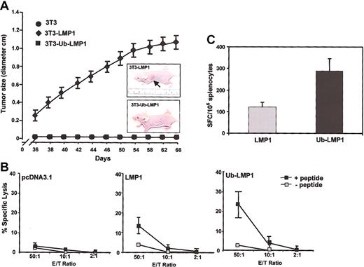 Figure 4. Effect of covalent linkage of ubiquitin on the LMP1-mediated oncogenicity and LMP1-specific T-cell responses. (A) Nude mice were injected with 1 × 107 LMP1- or Ub-LMP1-expressing 3T3 cells, and tumor progression was assessed for 66 days. (B) In vivo induction of CTL responses to a model epitope fused to LMP1 following immunization with DNA expression vectors. BALB/c (H-2Kd) mice were immunized intramuscularly with DNA vectors encoding LMP1 or Ub-LMP1 fused to an H-2Kd-restricted EBV nuclear antigen 1 CTL epitope (VYGGSKTSL) at the carboxy-terminal. Splenocytes from immunized mice were stimulated with H-2Kd-restricted peptide VYGGSKTSL, and CTL activity was assessed with a standard 51Cr-release assay. The data shown are representative of 2 separate experiments. (C) Ex vivo assessment of CTL responses to a model epitope fused to LMP1 following immunization with DNA expression vectors. These responses were assessed by ELISPOT assays as described in “Materials and methods.” A minimum of 5 mice from each group were assessed for the epitope-specific T-cell reactivity. The results from panels A, B, and C are expressed as mean ± standard error (SE).