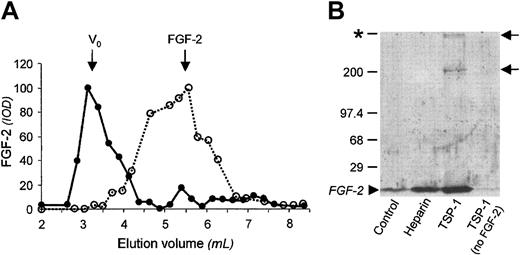 Figure 3. FGF-2 is released from the matrix by TSP-1 as an FGF-2/TSP-1 complex. ECM was incubated with FGF-2 and then exposed to TSP-1. The samples, containing FGF-2 released from the matrix, were then analyzed as follows. (A) Gel filtration chromatography. FGF-2 released from the ECM by TSP-1 (continuous line) or by 2 M NaCl (dashed line) were loaded on an S200 column and the eluted fractions were analyzed by dot-blot analysis using anti-FGF-2 antiserum. Vo = void volume, elution volume for TSP-1; FGF-2, elution of control, free FGF-2. (B) Chemical cross-linking. Samples containing biotin-labeled FGF-2 released from the matrix by TSP-1 or heparin, or that was spontaneously released (control) were treated with the cross-linking agent DSS and analyzed by Western blot. Arrows indicate the high-molecular-weight bands consistent with a TSP-1/FGF-2 complex; arrowhead, free FGF-2; and asterisk, the edge of the separating gel. Molecular weight markers (in kDa) are on the left.