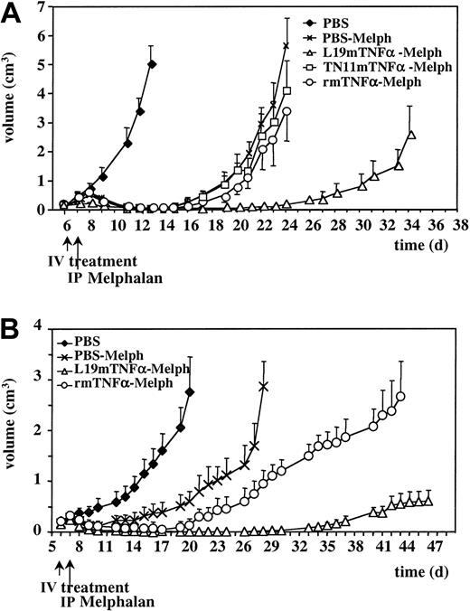 Figure 6. Effects on tumor growth of the treatments with L19mTNFα combined with melphalan. (A) F9 tumor growth curves after a single intravenous injection of PBS, 0.7 pmol/g L19mTNFα, TN11mTNFα, and rmTNFα, followed, after 24 hours, by melphalan 4.5 μg/g given intraperitoneally. The growth curve of animals treated with PBS only is also reported. F9 tumor volume is expressed in cm3 (mean ± SD). The treatments were performed at the times indicated by arrows. (B) WHEI-164 tumor growth curves after a single intravenous (IV) injection of PBS, 0.7 pmol/g L19mTNFα, and rmTNFα, followed, after 24 hours, by melphalan 4.5 μg/g given intraperitoneally (IP). The growth curve of animals treated with PBS only is also reported. WHEI-164 tumor volume is expressed in cm3 (mean ± SD). The treatments were performed at the times indicated by arrows.