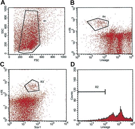 Figure 2. Isolation of highly purified Sca-1+c-Kit+Lin- HSCs from sickle mice.WBM was sorted on a MACS column to obtain Sca-1-enriched cells. Three-color preparative FACS was then performed to isolate Sca-1+, c-Kit+, Lin-/low HSCs. Purified KLS cells satisfy gating requirements for R1 (A), R2 (D), and R3 (C). R4 (B) indicates the c-Kit+ and Lin-/low cell population.
