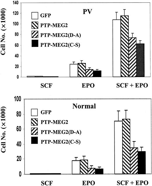 Figure 5. PTP-MEG2 mutants affect growth of ECFCs in suspension culture. Two thousand day-5 PV (top) or normal (bottom) ECFCs infected with recombinant retroviruses carrying GFP control, PTP-MEG2, PTP-MEG2(D→A), and PTP-MEG2(C→S) were cultured in the presence of SCF, EPO, or EPO plus SCF. Cells were attached to glass sides by cytospin, and GFP-positive cells were counted under a fluorescence microscope. Data represent mean ± SD of at least 3 independent experiments.