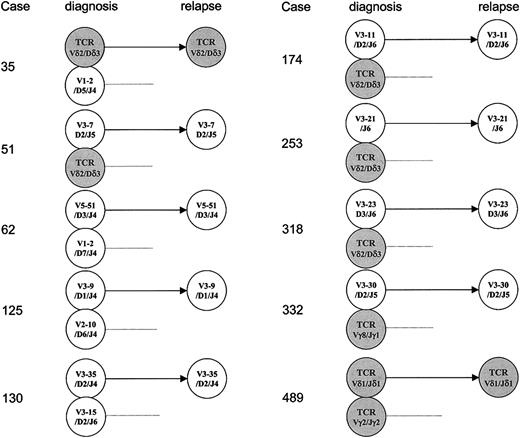 Figure 1. Schematic illustration of the clonal pattern of IgH and TCR gene rearrangements in 10 children with ALL in whom one original target was conserved but the other was lost. Germ-line gene segments are presented with more than 98% identity. IgH gene targets are shown in white and TCR gene targets are shown in gray.
