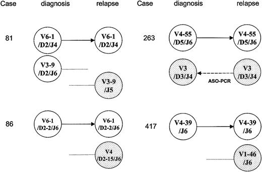 Figure 2. Schematic illustration of the clonality pattern of the antigen receptor gene rearrangements, demonstrating that one original target was conserved but new sequences were identified in 4 children with relapsed ALL. Germ-line gene segments are presented with more than 98% identity. IgH gene targets are shown in white and new sequences are represented as hatched circles. In case 263, the “new” relapse IgH target could be detected by ASO-PCR using a combination of VH3 family-specific primer and clone-specific primer based on the sequence at relapse.