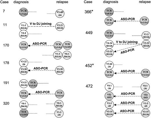 Figure 3. Schematic illustration of alteration of clonal pattern of Ig and TCR gene rearrangements between presentation and relapse in 10 children with ALL. Germ-line gene segments are presented with more than 98% identity. Original IgH targets are shown in white; new IgH targets are shown as hatched circles. TCR targets identified at diagnosis are shown in gray, and new TCR targets are shown as dotted circles. Ongoing rearrangements (VH-VH replacement and VH to DJH joining) were found in 2 cases (11 and 449). It is possible to amplify the clones identified at relapse using ASO-PCR approaches on diagnostic samples in 7 patients with ALL, as shown here with arrows for cases 170, 178, 191, 366, 449, 452, and 472. In 2 cases identified with an asterisk (*), Ig-κde rearrangement was later identified at presentation and preserved at relapse.
