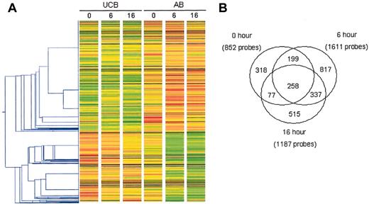 Figure 1. Analysis of changes in gene expression observed in unstimulated and stimulated CD4+ T cells isolated from UCB and AB. The changes in gene expression were assessed using the HG-U133A&B microarray. One-way hierarchical clustering (A) was performed on the trimmed data set using GeneSpring v5.1 following per gene normalizations of the signal. Each gene or probe set was normalized to the median of its signal across all arrays. The gene tree was constructed using the 2521 probe sets which met the inclusion criteria* in at least 1 of the 3 time points. Red and green indicate increased and decreased expression relative to the median, respectively. The Pearson correlation with a minimum distance of 0.001 was used in constructing the gene tree. (B) A Venn diagram depicts the total number of probe sets meeting inclusion criteria* at each time point. *At least one present (P) call and FC of at least 2 and change not equal to no change (NC).