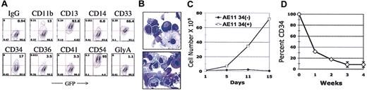 Figure 2. AML1-ETO-transduced CD34+ cells resemble an in vitro myelopoiesis culture. (A) Approximately 1 × 105 cells from a week-15 culture were stained with the indicated phycoerythrin-conjugated antibodies, and fluorescence was analyzed by flow cytometry. (B) Cytospins were performed using 8 × 104 cells, and slides were Wright-Giemsa-stained using standard protocols. Original magnification, ×600. (C-D) Long-term cultures of MIGR1-AE-transduced cells were stained for CD34 and sorted into CD34- and CD34+ cell fractions by fluorescent-activated cell sorter (FACS). The cells were then placed into liquid culture at 1 × 105 cells/mL. Cell surface expression of CD34 was determined by flow cytometry and cell expansion by trypan blue dye exclusion; both were performed weekly. Panel C is representative of 2 independent experiments, whereas panel D shows the average of 3 separate experiments.