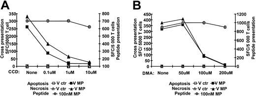 Figure 3. Actin cytoskeletal reorganization and ion channels are necessary for uptake and presentation of antigen from apoptotic and necrotic cells. Immature HLA A*0201+ DCs were preincubated with increasing doses of CCD or DMA. Pretreated DCs were thereafter cocultured at a 1:2 ratio with HLA-mismatched apoptotic or necrotic monocytes expressing MP and the same dose of inhibitor for 10 to 12 hours. DCs pulsed with 100 nM MP peptide were used as controls. All groups of CCD-treated (A) or DMA-treated (B) DCs were fixed with glutaraldehyde cocultured with Flu16; responses were monitored by IFN-γ ELISPOT assay. The left axis shows cross-presentation and the right peptide presentation. Controls consisting of dead cells and Flu16 alone or together did not induce any IFN-γ production (unpublished data). One representative experiment of 4 is shown.