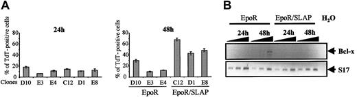 Figure 4. Constitutive SLAP expression interferes with Epo-induced survival and BCL-X induction. (A) Quantitative evaluation of apoptosis by TUNEL assay in EpoR and EpoR/SLAP erythroblast clones maintained in the presence of Epo for 24 hours (left panel) or 48 hours (right panel). The mean and standard deviation of 3 independent fields are shown. (B) RT-PCR analyses of BCL-x mRNA expression in EpoR and EpoR/SLAP erythroblasts that were maintained as in panel A. PCR was carried out by using primers specific for either the chicken BCL-x gene (top blot) or the S17 gene as normalization control (bottom blot). Aliquots of 0.5 μL, 1 μL, and 2 μL of each RT product were used. The expected 667-bp BCL-x fragment and 80-bp S17 gene fragment are indicated.