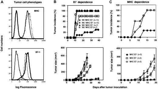 Figure 1. MHC and B7-1 promoted rejection of allogeneic tumors in RAG-1(-/-) mice. (A) Phenotypes of tumor cells used in this study. Tumor cells were stained with 28-14-8 (BD Pharmingen), a mAb specific for H-2Ld (upper panel) or 3A12, a mAb for B7-1 (lower panel).59 Solid thin lines: J558 cells were transfected with vector alone (hereby called MHC+B7-). Dashed lines: J558 cells transfected with B7-1 (MHC+B7+). Bold lines: an MHC loss variant of the MHC+B7+ tumor cell line (MHC-B7+). (B) B7-dependent rejection of tumor cells by NK cells. RAG-1(-/-) mice were treated with either PBS or the Tmβ1 mAb prior to tumor challenge. The incidences (upper panel) and tumor sizes (lower panel) were determined by physical examination. Data shown are a summary of 3 (no depletion) or 2 (NK depleted) independent experiments with a total of 7 (NK depleted) or 10 (PBS treated) mice per group. (C) B7-1 enhanced rejection of MHC class I+, but not MHC class I-, tumor cells by NK cells. RAG-1(-/-) mice were challenged with MHC+B7-, MHC+B7+, MHC-B7+ (n = 5). Data shown in panel C are representative of 2 independent experiments.