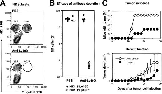 Figure 3. Essential role of Ly49D+ NK cells in rejecting MHC+B7+ tumor cells. RAG-1(-/-)C57BL/6 mice were pretreated with either PBS or anti-Ly49D mAb. The MHC+B7+ tumor cells (5 × 106/mouse) were injected subcutaneously. (A) Representative contour graphs depicting NK subsets in PBS- or anti-Ly49D mAb-treated mice, as analyzed at 4 weeks after tumor cell challenge. The lack of Ly49D+ NK cells was not due to a blockade of fluorescein isothiocyanate (FITC)-conjugated anti-Ly49D antibody, as no Ig+ NK cells were found in the RAG-1(-/-) mice (J.X.G., unpublished observations, 2002). (B) Composite data that show almost complete depletion of Ly49D+ cells in vivo, 5 mice per group. (C) Tumor incidence (top) and growth kinetics (bottom) of MHC+B7+ tumors in PBS- or anti-Ly49D mAb-treated mice. Data shown are means and SEM of tumor diameters.