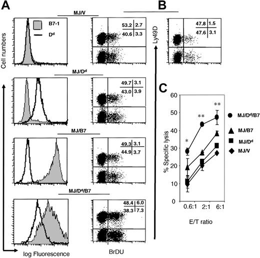 Figure 7. Coexpression of H-2Dd and B7-1 on a B16 melanoma variant B78H1 promotes expansion and effector function of NK cells. (A) Profile of H-2Dd (open histograms) and B7-1 (shaded histograms) on 4 transfectants of MJ, the TAP-2-transfected B78H1 cells. (B) Proliferation of NK cells in RAG-1(-/-) C57BL/6j mice at 2 days after challenge with PBS or 4 transfectants depicted in (A). Data shown were representative dot plots of gated NK1.1+ cells from an experiment involving 2-3 mice per group. Numbers in the panels show the percent of cells in each quadrant. The enhanced proliferation of NK cells induced by MJ/B7/Dd tumor cells has been reproduced with 2 independent clones. (C) Coexpression of B7-1 and H-2Dd enhanced cytolysis of IL-15-activated NK cells. Note that a significant difference was observed between the lysis of M/J/Dd/B7 target and the next most susceptible target (M/J/B7). The results have been repeated 3 times. Data are means ± SEM. *P < 0.05. **P < 0.01.