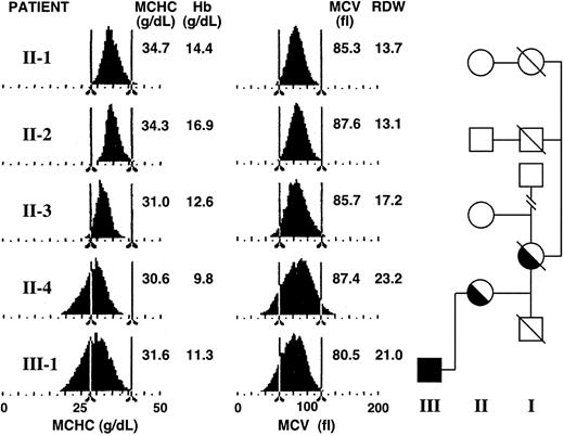 Figure 1. Hematologic profiles of family 10. Red blood cell hemoglobin concentration and red cell volume histograms for members of the proband's (II-4) family.
