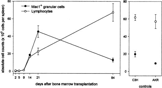 Figure 2. Longitudinal study of lymphoid and myeloid repopulation in spleen after BMT. Animals undergoing transplansplantation were killed at regular time intervals after BMT, and spleen cells were counted and analyzed for size, granularity, and Mac1 expression. Absolute counts of lymphoid and myeloid cells in spleens of chimeras (left panel) and untreated control AKR and C3H mice (right panel) are shown. Data represent mean values ± SDs of 4 to 6 chimeric mice from 1 of 3 representative experiments.