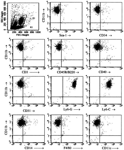 Figure 3. Phenotypical studies of Mac1+ granular cells. Two to 5 chimeras were killed at week 3 after BMT, spleen cells were pooled, and 2-color flow cytometry was performed for expression of Mac1 and a panel of other surface markers within the gated Mac1+ granular cell population. Dot plots are from 1 of 3 representative experiments and show Mac1+ granular cells gated as indicated in the top left panel.