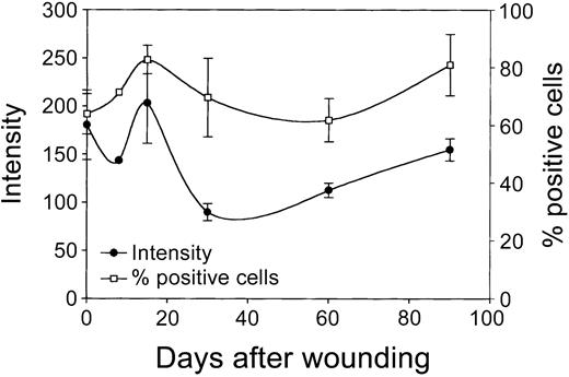 Figure 8. Expression of HO-1 in wound fibroblasts in time. Fibroblast populations isolated from the wound area (see “Materials and methods”) were analyzed for HO-1 expression levels (left y-axis; mean fluorescence intensity) and percentage HO-1+ cells (right y-axis) using flow cytometry. After initial decrease, HO-1 expression is elevated and peaks after 15 days, after which it decreased and returned to control levels (left y-axis). After wounding, the population of infiltrated HO-1+ cells swiftly increased, peaked after 15 days, and returned to control levels at day 60, after which it slowly increased again (right y-axis).