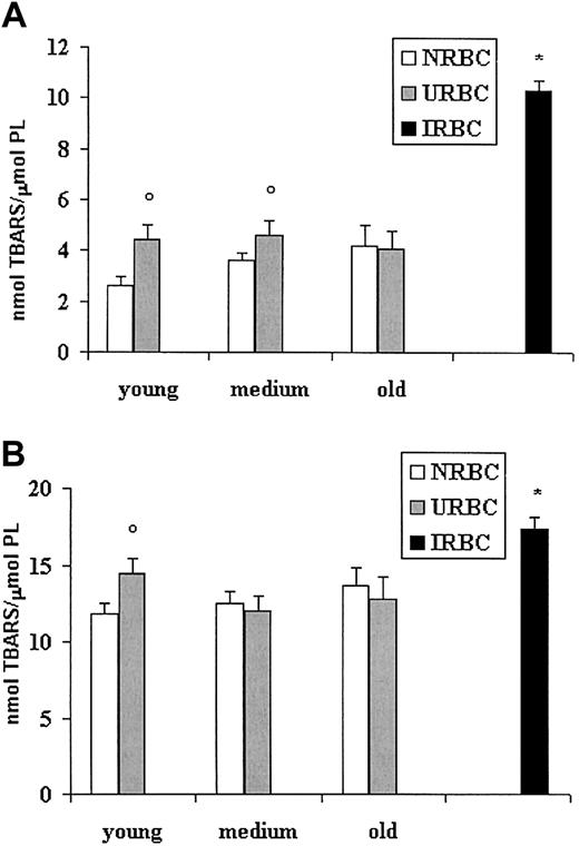 Figure 4. Lipid peroxidation of ghosts from control, uninfected, and infected erythrocytes. RBC ghosts were assayed for TBARSs before or after induction for 3 hours at 37°C with the pro-oxidant system iron-ascorbate. Results (mean ± SD) are expressed as nanomole TBARS per micromole red cell phospholipids. ○P < .01 versus NRBCs of the same age. *P < .01 versus NRBCs and URBCs. (A) TBARSs at basal conditions. (B) TBARSs after iron/ascorbate challenge.