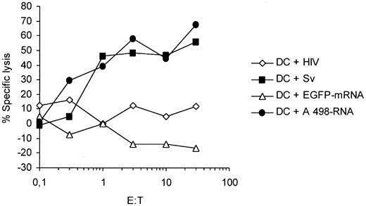 Figure 5. Survivin-specific CTLs recognize autologous dendritic cells transfected with RNA isolated from A 498 tumor cells. Autologous DCs from a healthy HLA-A2+ donor generated from peripheral blood monocytes were pulsed with the cognate survivin peptide (Sv) or electroporated with tumor RNA isolated from the survivin-expressing A 498 tumor cell line and were used as target cells in a standard 51Cr-release assay (▪, •). DCs pulsed with an irrelevant HIV peptide (HIV) or electroporated with EGFP in vitro transcript (IVT) were used as controls in the assay (⋄, ▵).