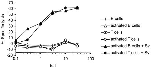 Figure 7. Survivin-specific CTLs do not recognize activated B and T lymphocytes. Survivin-specific CTLs were assayed against autologous-activated B and T lymphocytes either pulsed with the cognate survivin (Sv) peptide (filled symbols) or left unpulsed (open symbols).