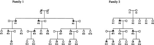 Figure 1. Pedigrees of 2 families affected with MHA/FTNS. All heterozygous individuals present macrothrombocytopenia. Deafness and cataracts are only present in some individuals carrying the Asp1424Asn mutation. Shading in the upper right quartile indicates macrothrombocytopenia. Shading in the upper left quartile indicates deafness, and shading in the lower right quartile indicates cataract (see “Patients”). Diagonal lines indicate deceased individuals.