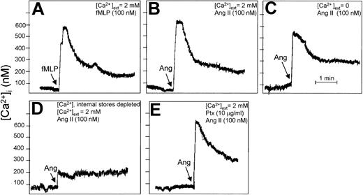 Figure 7. Angiotensin II increases cytosolic Ca2+ levels in human neutrophils. Fura-2–loaded neutrophils (107 cells/mL) were incubated with 100 nM fMLP (A) or with 100 nM Ang II (B-E) under the indicated conditions for 4 minutes, and changes in intracellular Ca2+ levels were fluorometrically recorded. The arrow in each panel indicates the time of fMLP, Ang II, or Ptx addition. (A-B) Cell suspension was incubated in the presence of external 2 mM CaCl2, and either fMLP (A) or Ang II (B) was added. (C) Cells were treated with 0.1 mM EGTA for 5 minutes in the absence of external Ca2+ before the addition of Ang II. (D) Intracellular Ca2+ stores were first depleted with 1 μM thapsigargin and 0.1 mM EGTA for 5 minutes, followed by washing. Then the cells were treated simultaneously with Ang II and 2 mM CaCl2. (E) Cells were pretreated with Ptx before the addition of Ang II. Each graph is representative of a set of 3 experiments that yielded similar results.