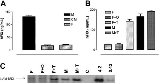 Figure 5. Effect of androgens on rAAV-mediated transgene expression. (A) Human FIX expression in C57Bl/6 competent mice 6 weeks after tail vein administration of 1 × 1011 rAAV-2 CAGG-FIX vector particles. M indicates naive males (n = 3); CM, castrated animals (n = 5); F, naive females (n = 3). Transgene expression values represent means together with the standard error for each cohort. (B) Stable hFIX levels were determined 10 weeks after tail vein administration of 1 × 1011 rAAV-2 CAGG-FIX vector particles in unmanipulated female mice (F), female mice that had been oophorectomized 2 weeks prior to vector administration (F + O), oophorectomized female mice treated with DHT prior to vector administration (F + T), naive male mice (M), and male mice primed with DHT prior to vector administration (M + T). Human FIX expression values are depicted as average together with the standard error of the mean of each cohort containing between 3 to 7 mice. (C) Southern blot analysis of DNA isolated from murine liver 10 weeks after tail vein administration 1 × 1011 rAAV CAGG-FIX vector particles. DNA samples were digested with NheI to release an internal fragment of 1.5 kb. Sample order from right to left is as follows: lane 1, unmanipulated female mouse (F); lane 2, oophorectomized mouse (F + O); lane 3, oophorectomized mouse treated with DHT (F + T); lane 4, naive male mouse (M); lane 5, male mouse primed with DHT (M + T); lane 6, DNA from a mock-transduced male mouse. Lanes 7 and 8 are control mouse DNA spiked with 4.2 and 0.42 copies per diploid genome of plasmid pAV CAGG-FIX digested with NheI.