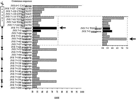 Figure 2. Strength of potential splice sites as measured by their CVs. The statistical rules of Shapiro and Senopathy were applied to assign a CV expressed in percentage of homology to the consensus sequence.7 A score of 100 represents the best match; 0, the worst match. The CV of the IVS6 donor site and the authentic and mutated IVS7 donor splice site were rated according to this procedure, and potential cryptic sites along exon 7 and in each 37-bp element of the IVS7 minisatellite were researched alike. Because the CV of the GT-containing sequence in the close vicinity of the mutated splice site ranged from 53.9 to 74.7, we chose the value 53.9 as a threshold to define a potential alternative splice site. On the vertical axis are given the location and the sequence of the potential cryptic sites. Position IVS7+1 corresponds to the first nucleotide of IVS7, and position IVS7-1 to the last nucleotide of exon 7. Capital letters denote exonic sequences and lowercase letters intronic sequences. Underlined boldface letters indicate the position of the splicing site. The horizontal axis shows the CV assigned for each position. The black arrow indicates the activated site. In the insert figure, the CV changes caused by the IVS7+2 T>G mutation (black columns) and the cryptic site subsequently activated (black arrow and asterisk pointing to the mutated nucleotide) are shown.
