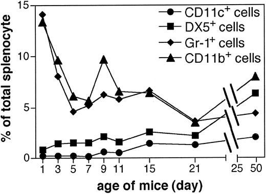 Figure 2. Ontogeny of innate spleen cells. At various ages, pooled spleen cells of 4 BALB/c mice were analyzed by FACS for the expression of CD11c, DX5, Gr-1 and CD11b expression. Results are expressed as the percentage of positive cells out of the total spleen cells.