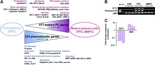 Figure 3. From plasmablasts to mature PCs. (A) Schematic representation of the 800 genes that were statistically differentially expressed between plasmablasts and the 2 mature PC populations with a ratio of mean expression greater than 2. Relevant genes that were statistically differentially expressed between PPCs and mature PCs but with at least one ratio of mean expression less than or equal to 2 are indicated in parentheses. PBB indicates peripheral blood B cells; TBC, tonsil B cells; TPC, tonsil plasma cells; BMPC, bone marrow plasma cells; and PPC, polyclonal plasmablastic cells. (B) Expression of ILT3 and granzyme B mRNA was studied by RT-PCR on purified CD19+ PBB cells, on CD20-/CD38++ sorted PPCs, and on purified CD138+ BMPCs. (C) Quantitative RT-PCR confirms SDF1 and MER expression in BMPCs. SDF1 expression in stromal cells and MER expression in monocytes are used as standards. SDF1 and MER transcripts are undetectable in PPCs.