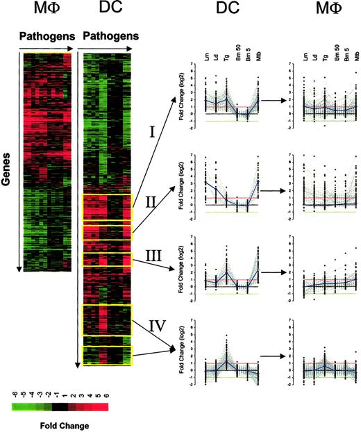 Figure 2. Hierarchic clustering of genes regulated in both DCs and Mϕs following pathogen exposure. Genes were arranged according to their gene expression pattern (fold change) by hierarchic clustering, with the genes arranged vertically and the pathogens (in replicate) arranged horizontally for DCs (left side) and Mϕs (right side). Red indicates gene induction; green, gene repression. Analysis was done for DCs and Mϕs independently. The expression profile of 4 major clusters (yellow outline) is also plotted for both DCs and Mϕs. The red and green lines in each graph (in middle) represent the 2-fold change values; blue lines represent the average fold-change values.