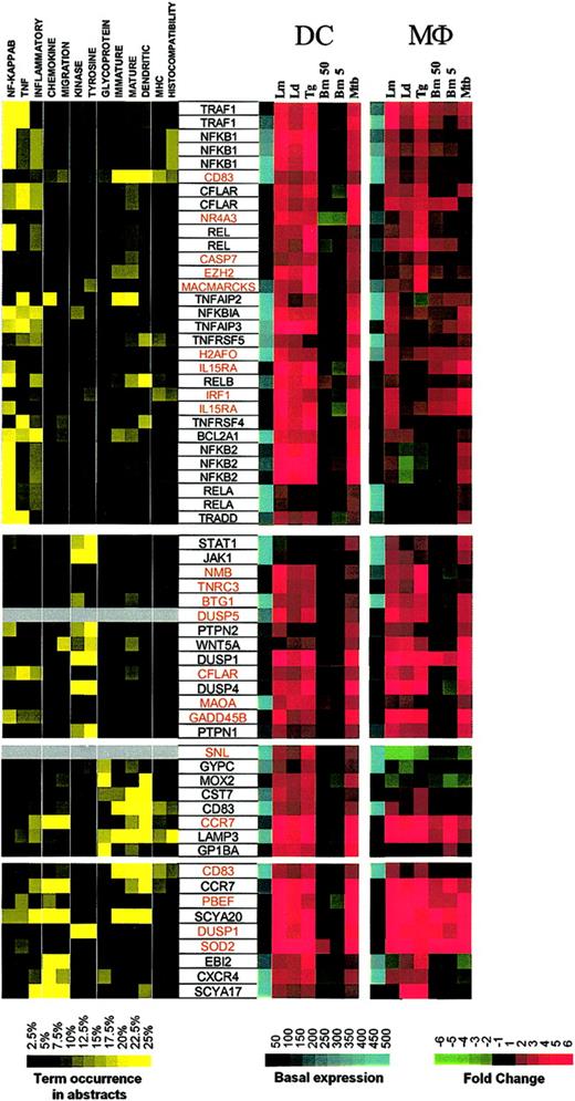 Figure 3. Cluster I: genes up-regulated by intracellular pathogens. Gene expression and literature profiles are shown for both DCs and Mϕs. Color intensity correlates with basal gene expression values (blue), fold-change values (green and red), and term occurrence in abstracts (yellow). Genes listed in red were not part of the original functional cluster and were integrated on the basis of their expression profile similarity to other genes in this cluster. Names for the genes abbreviated in this figure can be found in supplemental Table 1.