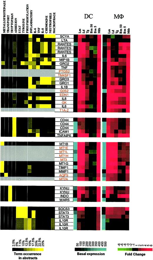 Figure 4. Cluster II: genes up-regulated by Leishmania spp and M tuberculosis. Gene expression and literature profiles are shown for both DCs and Mϕs. Color intensity correlates with basal gene expression values (blue), fold-change values (green and red), and term occurrence in abstracts (yellow). Genes listed in red were not part of the original functional cluster and were integrated on the basis of their expression profile similarity to other genes in this cluster. Names for the genes abbreviated in this figure can be found in supplemental Table 2.