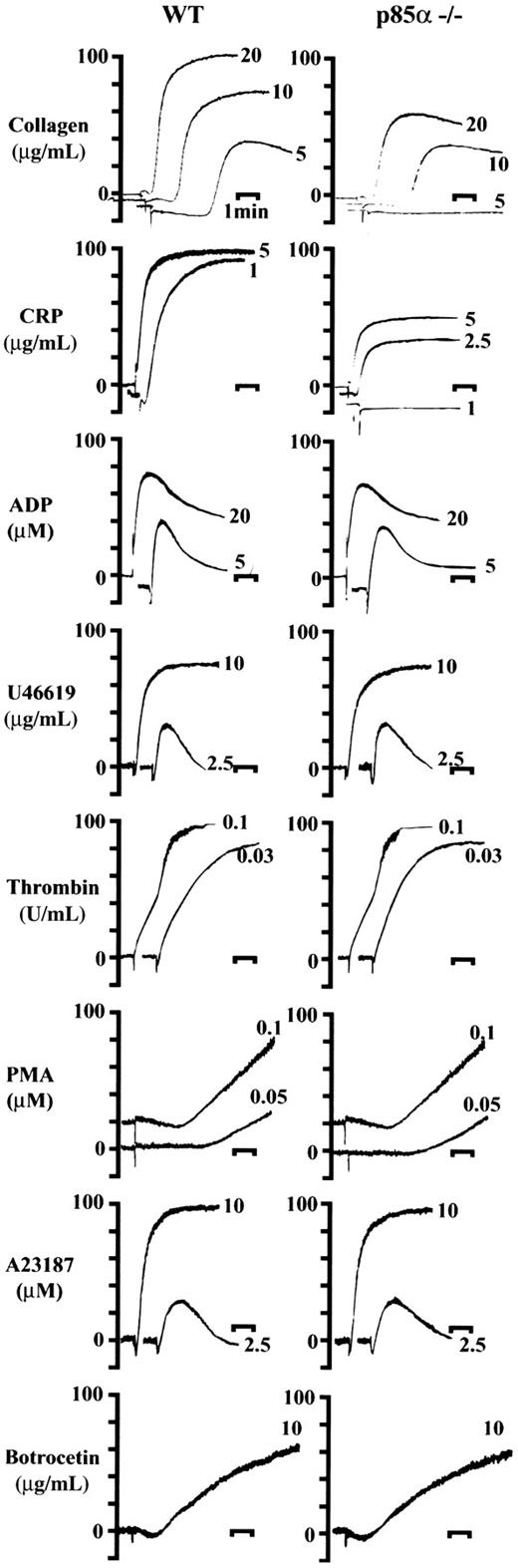 Figure 2. Platelet aggregation responses to various kinds of agonists. PRPs (3 × 105/μL) were incubated at 37°C for 10 minutes prior to stimulation. Changes to morphology and aggregation of platelets from wild-type (WT, left column) and p85α–/– (right column) were measured using an aggregometer after stimulation with collagen, CRP, ADP, U46619, thrombin, PMA, A23187, and botrocetin at the indicated concentrations. Bars indicate 1 minute. Results are from 1 experiment but are representative of at least 4 separate experiments.
