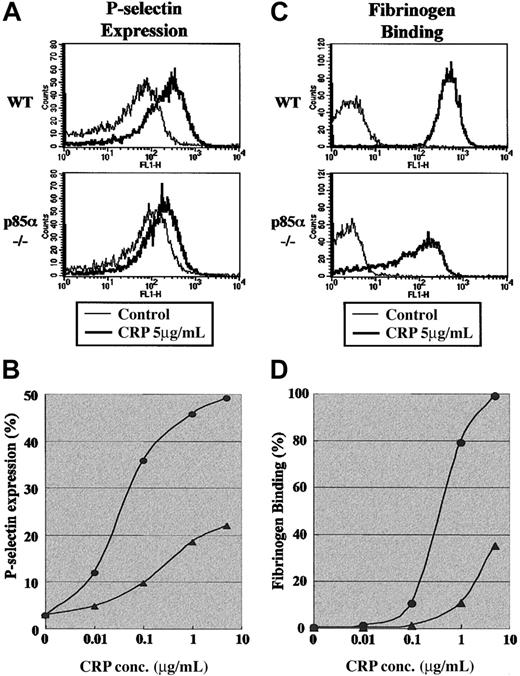 Figure 3. Surface expression of P-selectin on platelets and fibrinogen binding to platelets induced by GP VI stimulation. (A-B) P-selectin expression was detected using FITC-conjugated antimouse P-selectin antibody (A) and analyzed by flow cytometry (B). (C-D) Fibrinogen binding was detected using activated integrin αIIbβ3 and binding of Alexa Fluor 488-conjugated human fibrinogen (C) and analyzed by flow cytometry (D). Washed wild-type (WT) and p85α–/– platelets suspended in modified Tyrode-HEPES buffer containing apyrase and RGDS peptide with 1 mM CaCl2 (A-B) or modified Tyrode-HEPES buffer containing apyrase with 1 mM CaCl2 (C-D) were stimulated by CRP. Data are from 1 experiment but are representative of 3 independent experiments. In panels B and D, • indicates WT platelets and ▴ indicates p85α–/– platelets.