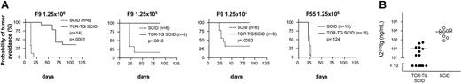 Figure 1. Id-specific TCR-transgenic SCID mice are protected against subcutaneous challenges with Id+ B lymphomas. (A) TCR-transgenic SCID mice and SCID littermates were challenged with the indicated titrated amounts of either A20 cells transfected with the λ2315 Ig L chain gene (F9) or A20 cells transfected with the empty pSV2neo vector alone (F55). A palpable tumor of 3 mm was scored as a tumor take. The lowest number of injected F9 cells, 1.25 × 10,3 was not tumorigenic. (B) Id+ λ2315 Ig in sera of mice injected 12 days earlier with 1.25 × 106 cells. Results were statistically significant (P < .0001), Mann-Whitney test.