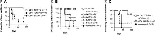 Figure 3. Transfer of Id-specific CD4+ T cells confers tumor protection. (A) TCR-transgenic CD4+ cells, but not CD4- cells, protect. SCID mice were reconstituted with purified TCR-transgenic CD4+ or CD4- cells, or BALB/c CD4+ T cells, injected intravenously (2 × 106). Three days later, the mice were challenged with 1.25 × 105 Id+ F9 cells. TCR-transgenic CD4+ cells versus TCR-transgenic CD4- cells: P = .018. TCR-transgenic CD4+ cells versus BALB/c CD4+ cells: P = .0014. TCR transgenic CD4- versus BALB/c: P = 0.59. (B) Number of Id-specific CD4+ T cells required for transfer of protection. Groups of Rag2-/- mice were injected intravenously with the indicated titrated amounts of purified TCR-transgenic CD4+ T cells, or left nonreconstituted, and challenged 3 days later with 1.25 × 105 F9 cells. (C) Id-specific CD4+ T cells purified from recombination deficient TCR-transgenic SCID mice confer protection. Groups of SCID mice were reconstituted with 2.5 × 105 CD4+ cells purified from either TCR-transgenic SCID or BALB/c mice, or left nonreconstituted. Three days later, the mice were challenged with 1.25 × 105 F9 cells. TCR-transgenic SCID CD4+ cells versus BALB/c CD4+ cells: P = .014. BALB/c CD4+ versus nonreconstituted mice: P = .44.